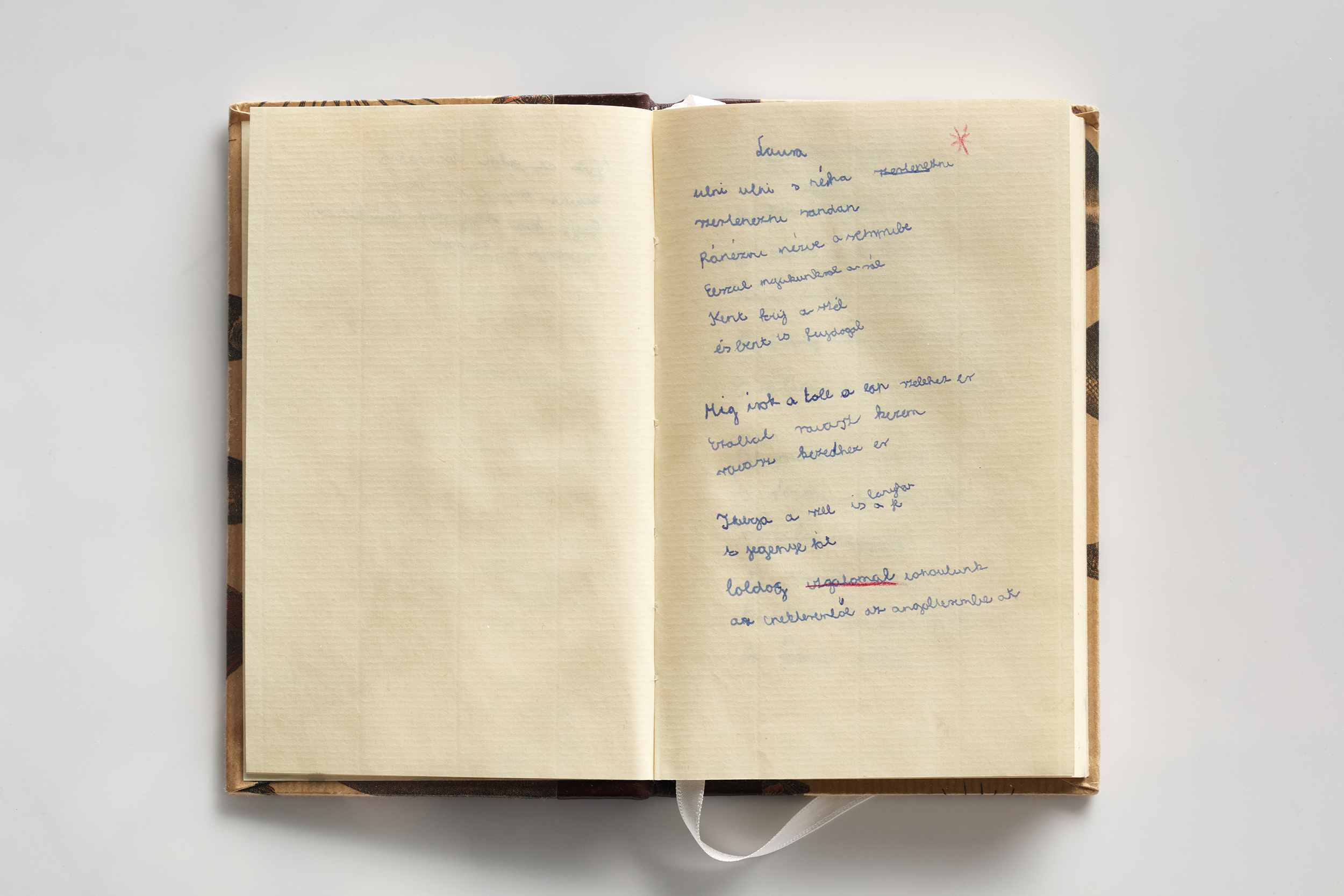 Notebook with a Self Portrait