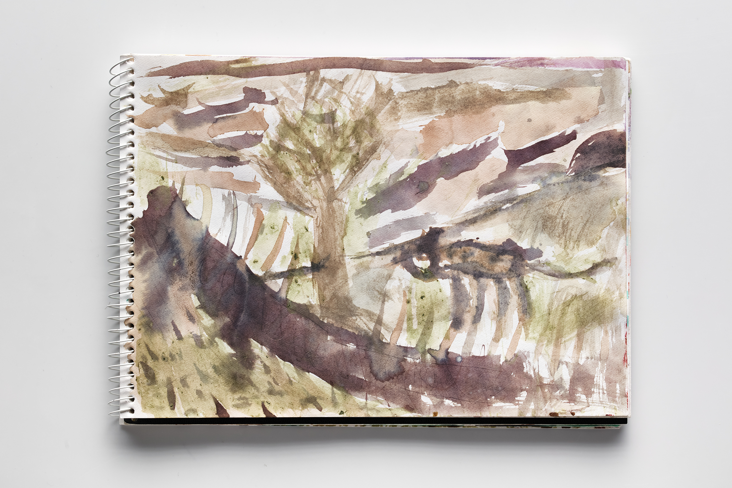 Landscape Sketches